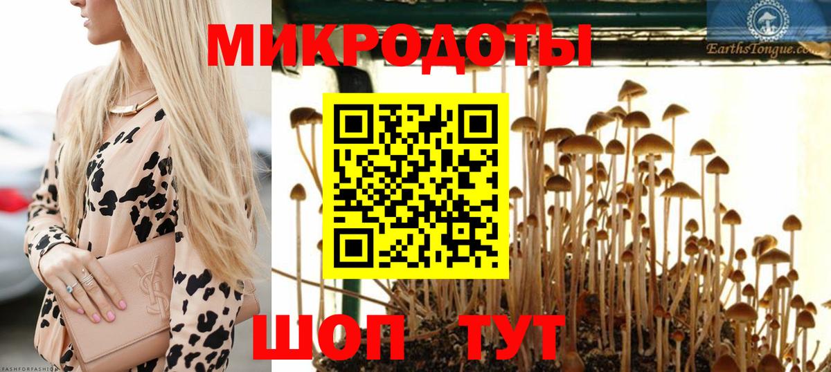 Псилоцибиновые грибы MAGIC MUSHROOMS Старая Русса