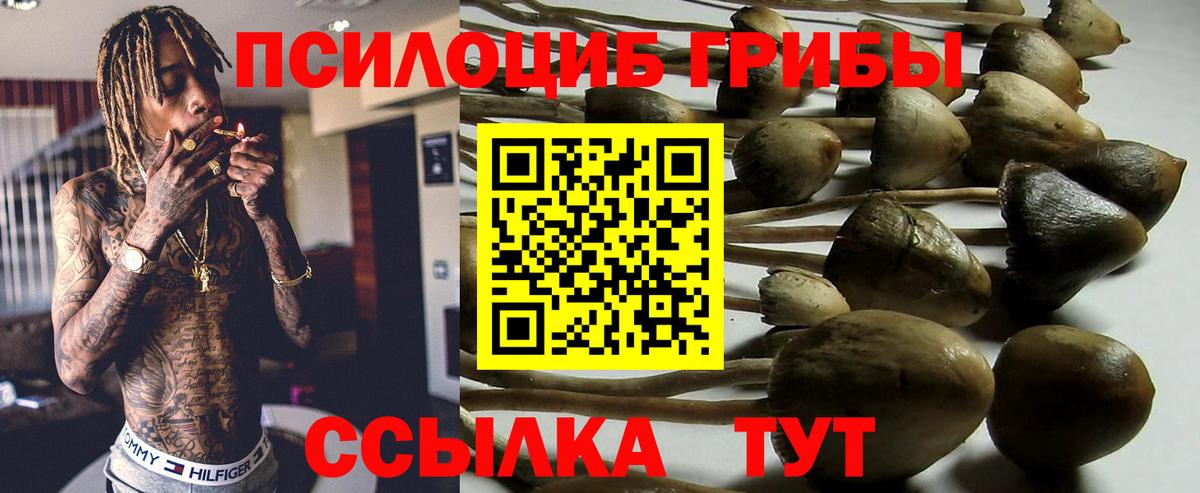 Псилоцибиновые грибы Magic Shrooms  купить   Галлюциногенные грибы мицелий  Старая Русса  Вход с VPN 